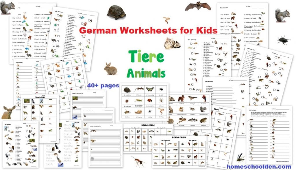German Worksheets for Kids - Tiere Animals Tiere im Wald Forest Animals