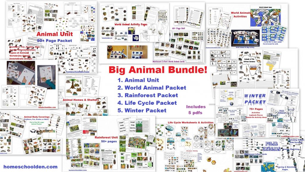 Big Animal Bundle