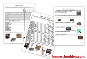 Animals and Their Characteristics (Free Worksheet) - Homeschool Den