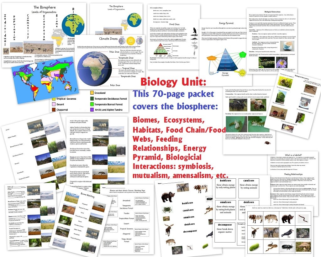 Biology Unit On The Biosphere Biomes Ecosystems Habitats Feeding Relationships Biological Interactions Homeschool Den