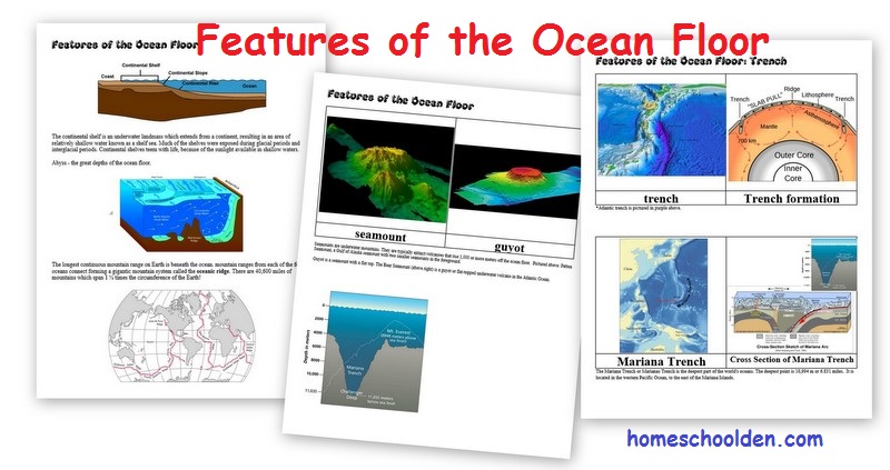Ocean Unit Packet: Marine Habitats, Tides, Currents, Ocean Floor, Ocean