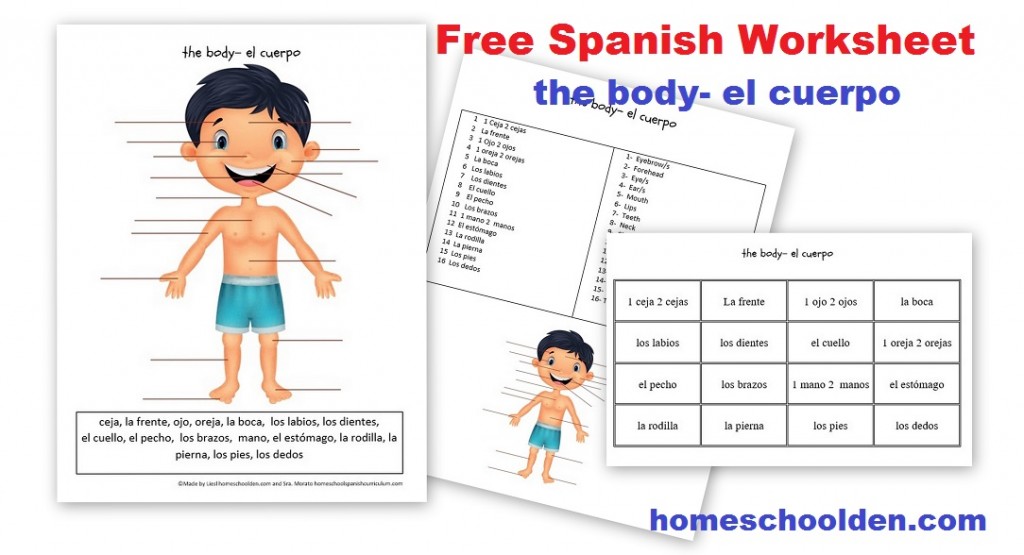 Free Spanish Worksheet Parts Of The Body El Cuerpo Homeschool Den