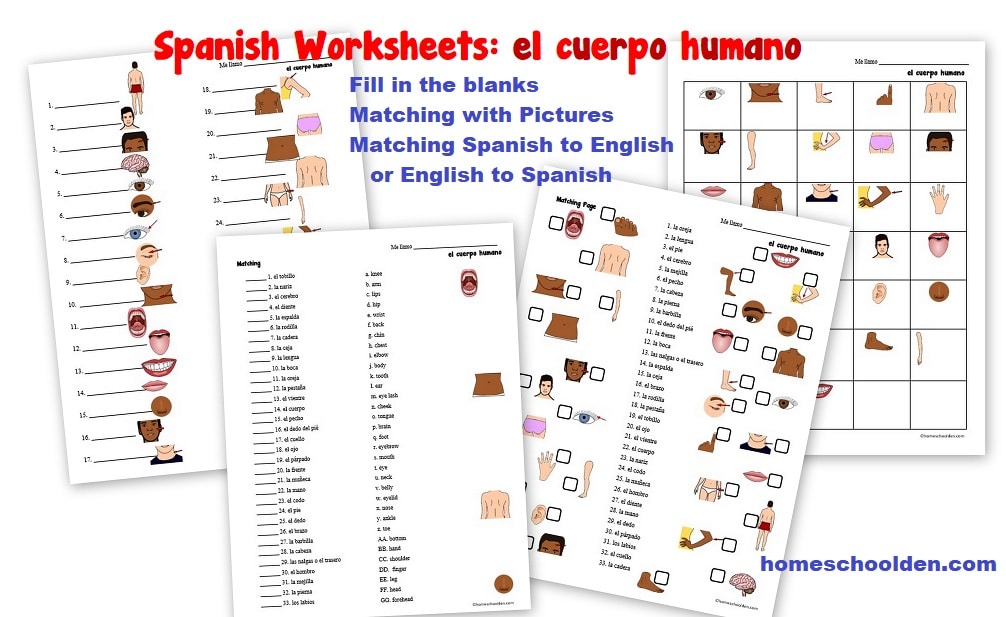 Spanish Body Worksheets - el cuerpo humano 