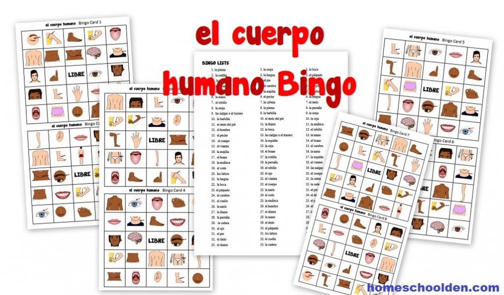el cuerpo humano Bingo-スペイン語ボディビンゴ