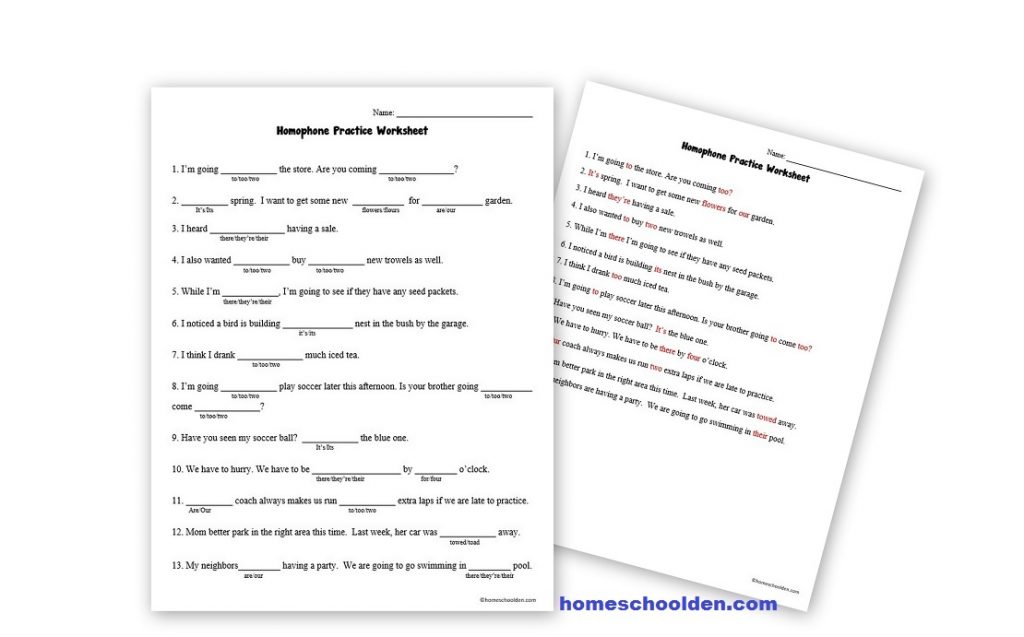 Homophone Practice Worksheet there-their-they're our-are its-it's