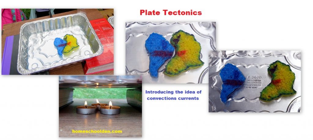 Plate Tectonics Activity - Convection Currents