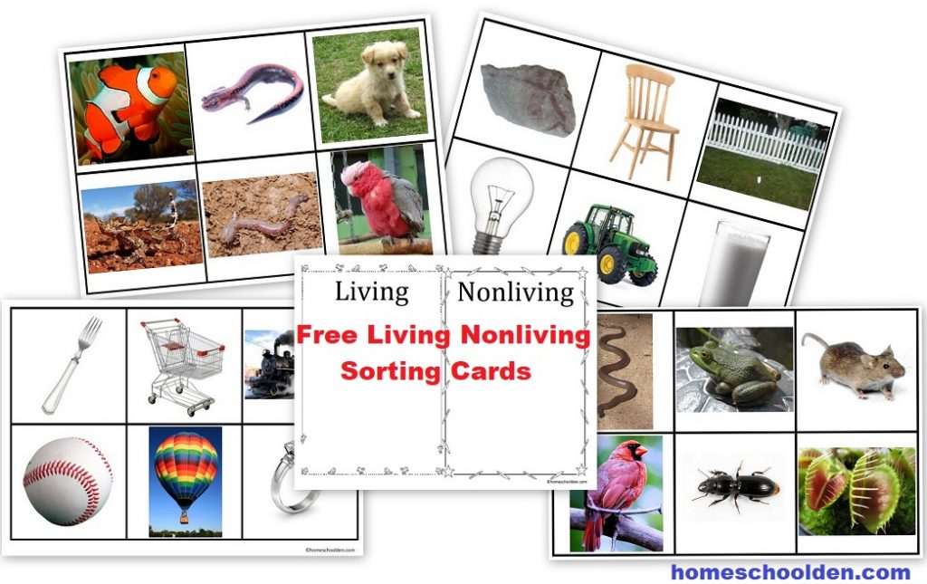 Free Living Nonliving Sorting Cards