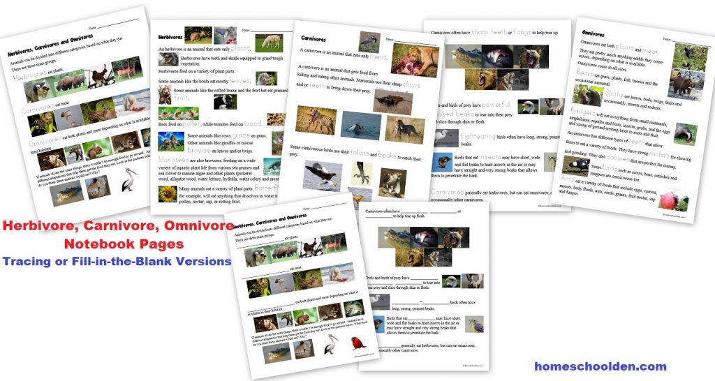 Herbivore Carnivore Omnivore Notebook Pages Worksheets