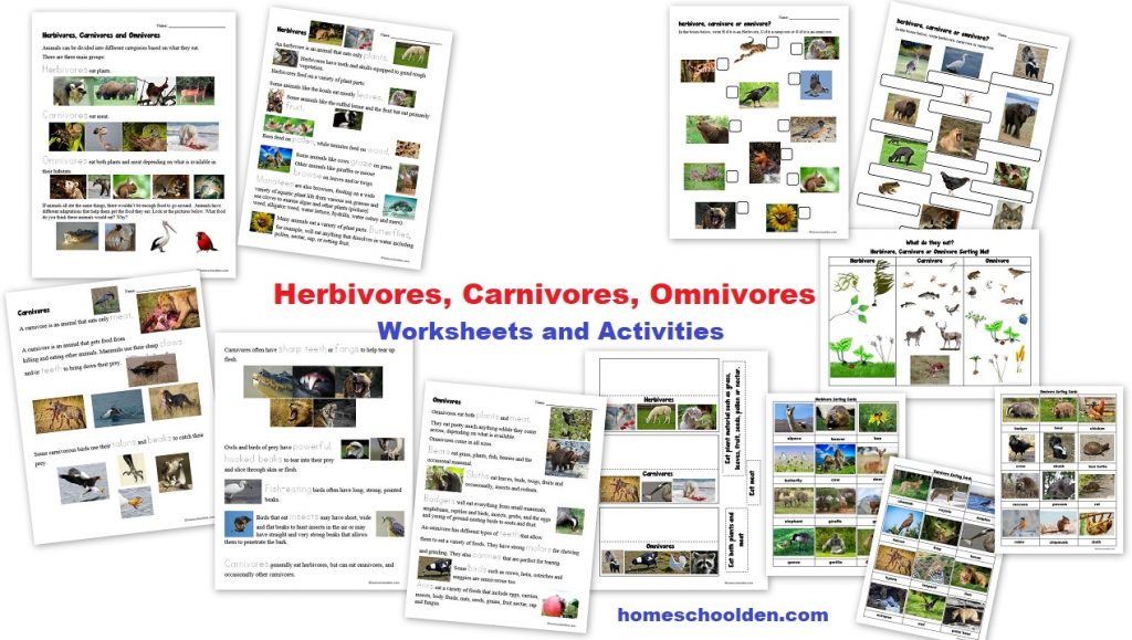 Herbivores Carnivores Omnivores Worksheets Activities Sorting Cards