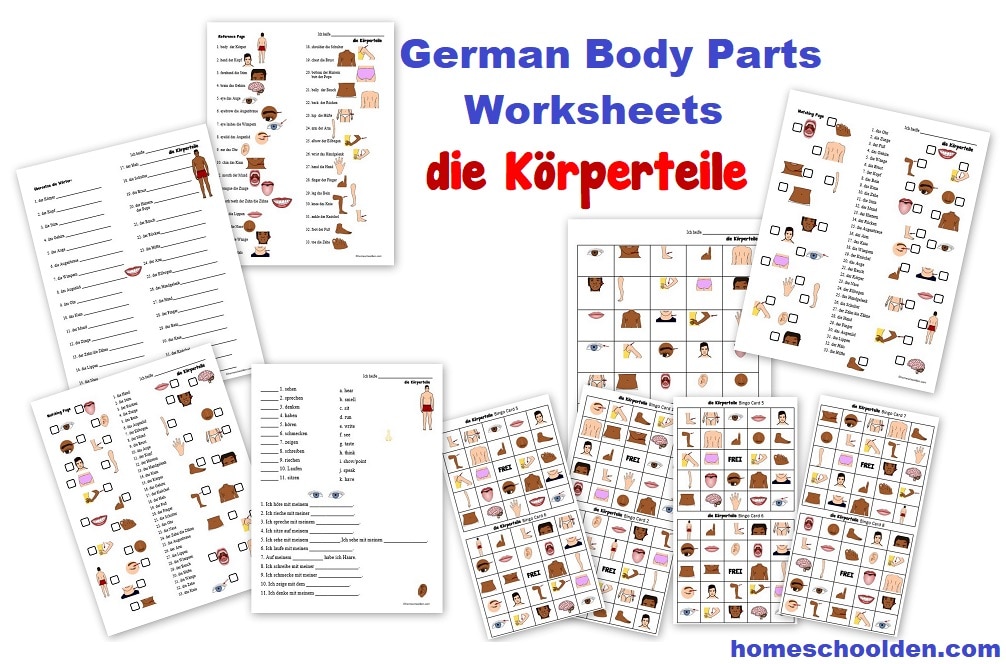 German Body Parts Worksheets die Körperteile