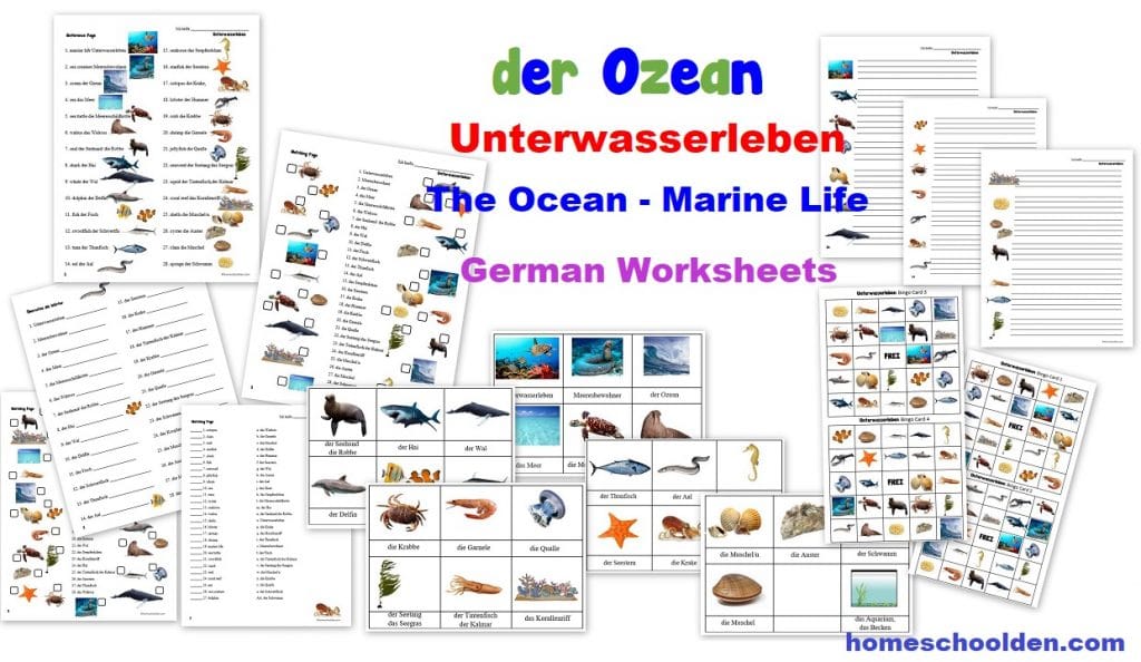 der Ozean - Unterwasserleben German Worksheets for Kids - the ocean beach marine life