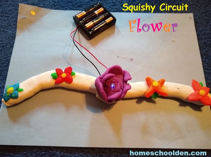 Squishy Circuit Flower