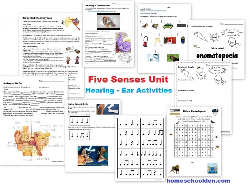 Five Senses - Hearing Ear Activities