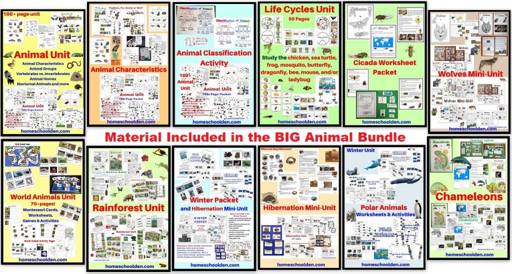Big Animal BUNDLE - with 8 pdfs