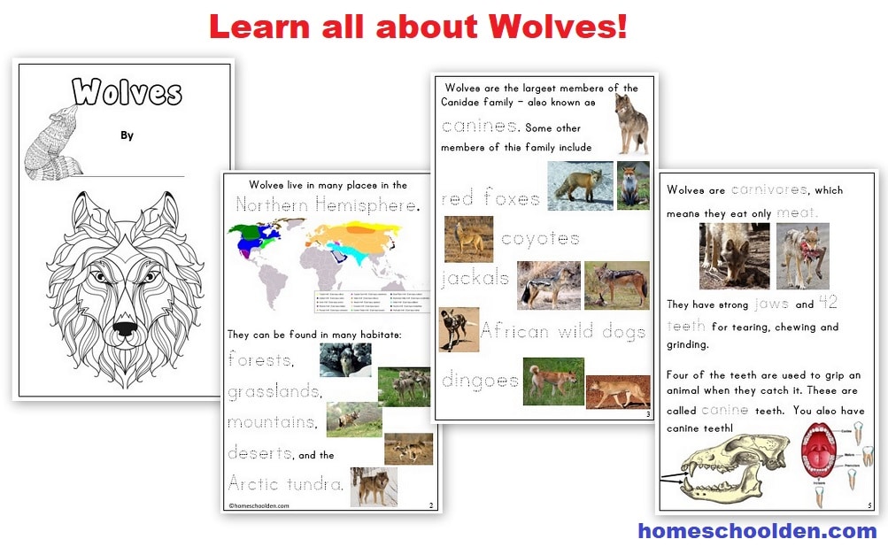 35-wolves-of-yellowstone-worksheet-worksheet-source-2021