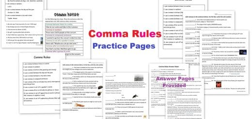 comma rules practice worksheet answer key