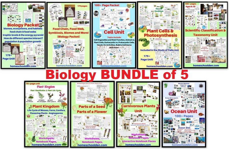Biology BUNDLE of 5 - Biology Cells Classification and Taxonomy Botany Ocean Unit
