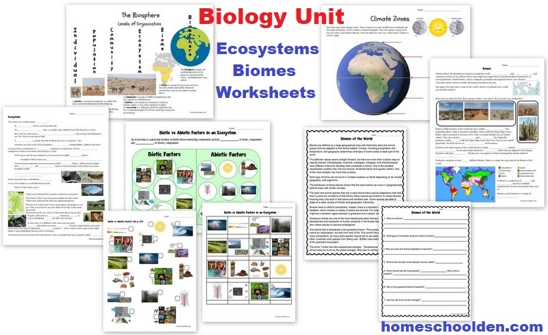 Biology Unit Ecosystems Biomes Worksheets