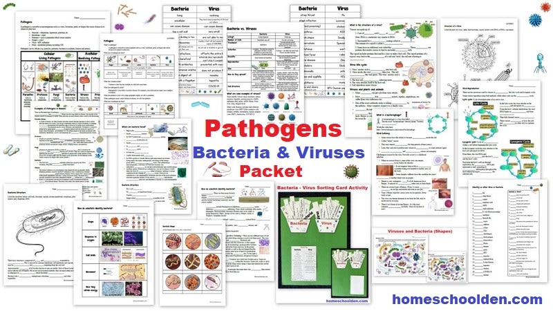 Pathogens - Bacteria and Viruses Packet