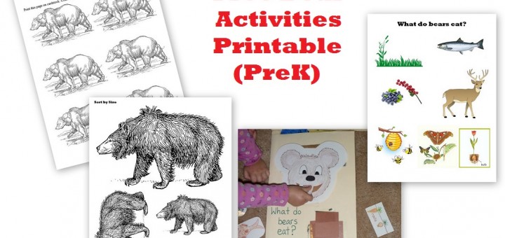 Bear Activities PreK - Free Printable