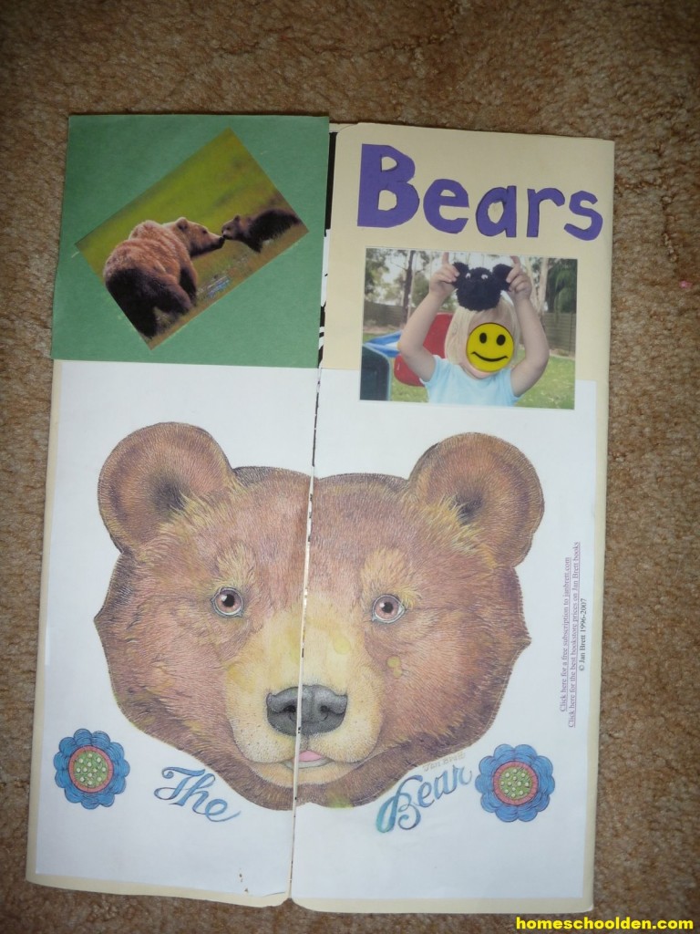 Bear Lapbook PreK