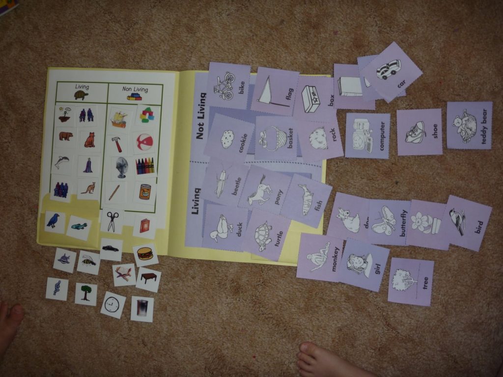 Living and Non Living Sorting Activities - Homeschool Den