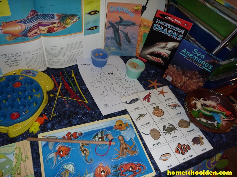 Ocean-Preschool-Activities-puzzles-books