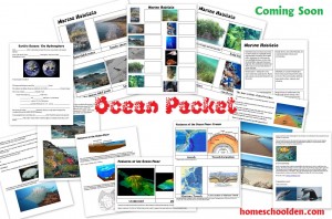 Ocean-Packet