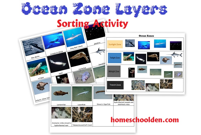 Ocean Zones - Layers of the Ocean Activity