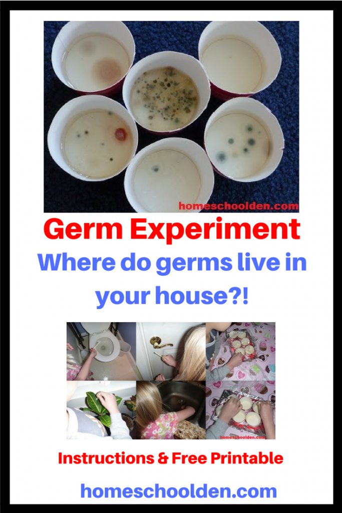 Germ Experiment - Instructions and Free Printable