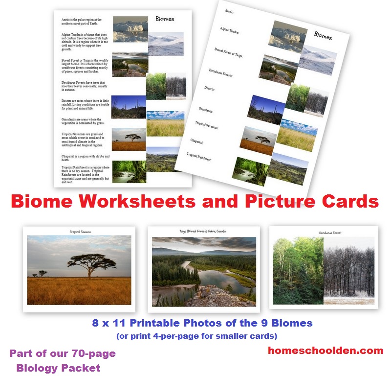 Biomes Worksheets and Pictures
