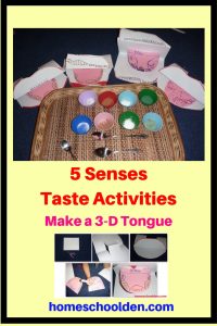 Five Senses Unit Activities about the Sense of Taste