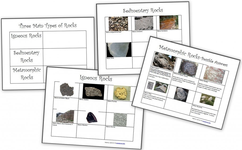 3 types of rocks worksheets - sedimentary metamorphic igneous rock