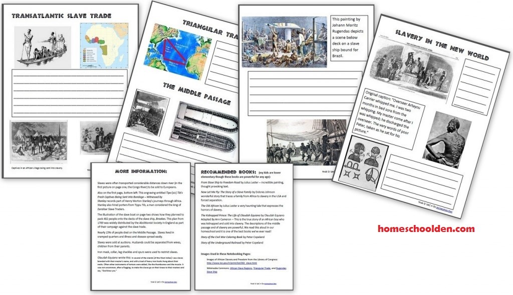 Transatlantic Slave Trade Middle Passage Slavery in the New World Worksheets
