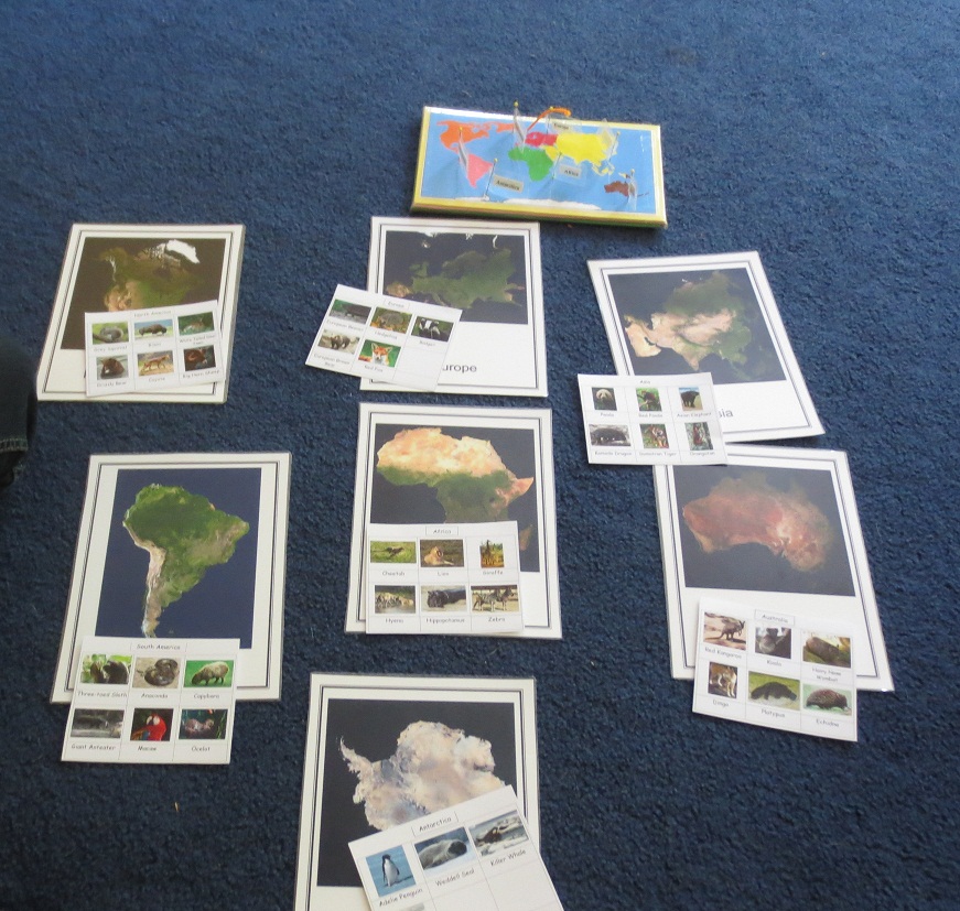 World Animal Cards and Continents