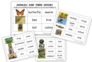 Animals and Their Groups