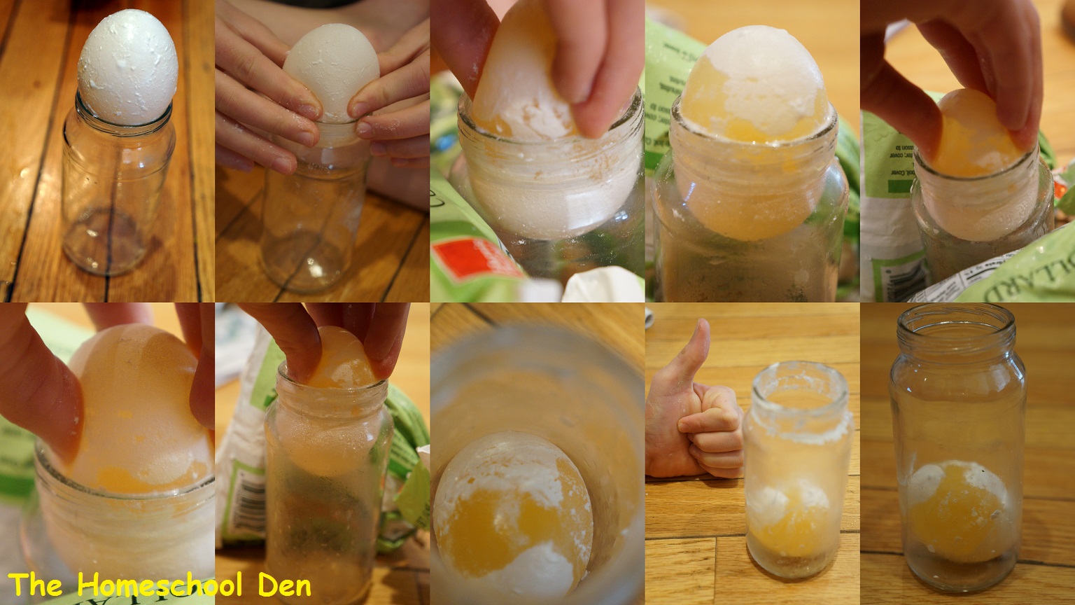 Egg-in-a-Jar Egg Experiments for Kids