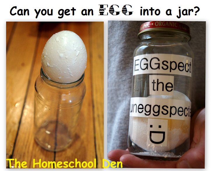 EggSpect-the-UnEggSpected - Egg Experiments for Kids