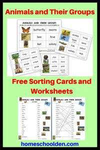 Animals and Their Groups - Free Sorting Cards and Worksheets