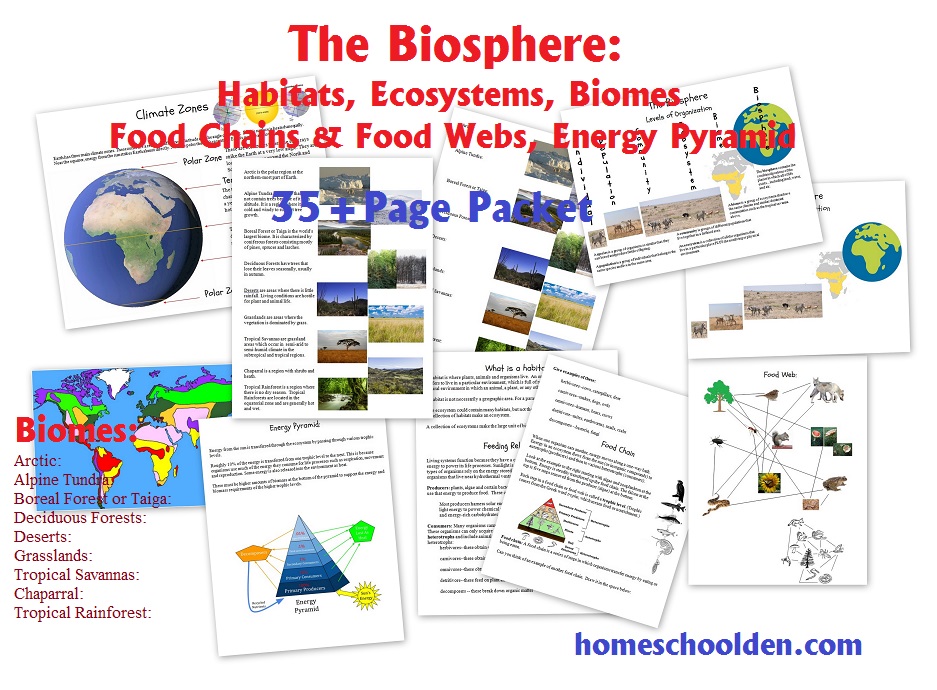 Biosphere-Packet