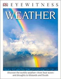 Weather-Book-DK