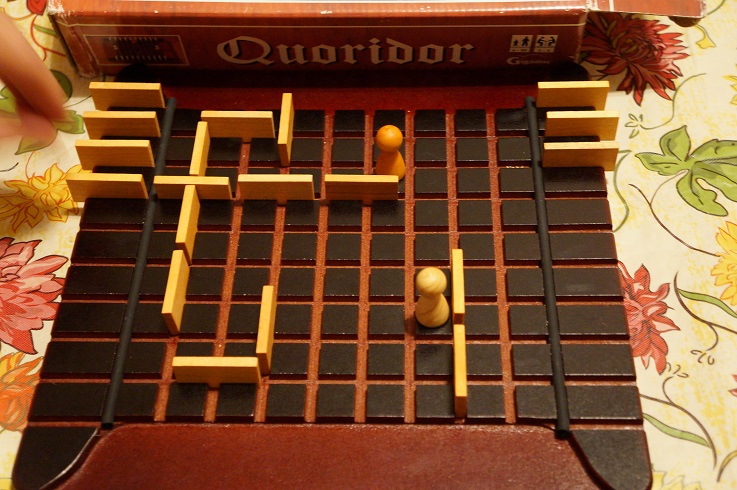 Quoridor Game Wood Fence Piece USED Barrier 