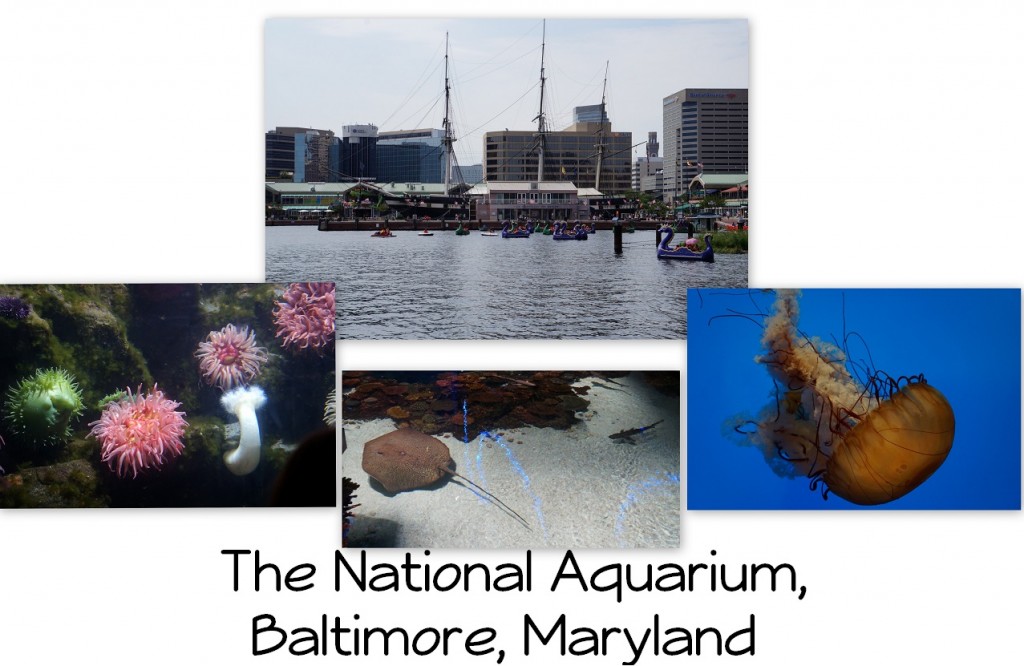National Aquarium-1
