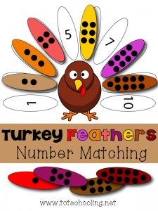 Turkey-Number-Matching