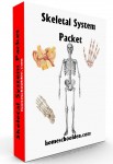 SkeletalSystemPacket-Cover