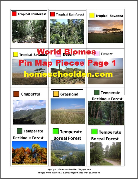 BiomesPinMap-Rainforest-Savanna-Desert-Chaparral-Grassland-DeciduousForest-BorealForest