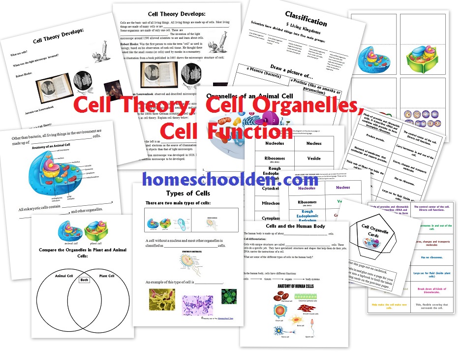 Cell-Worksheet-Packet
