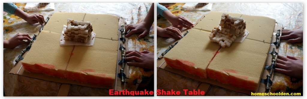 EarthquakeShakeTable