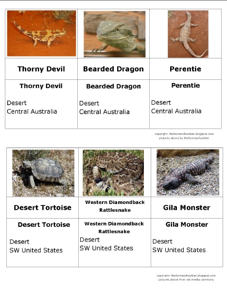 Reptile Cards - US and Australia