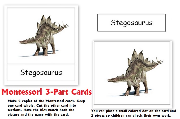 Dinosaur Montessori Cards